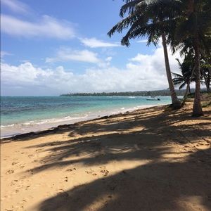 Meet your Posher, Sandy